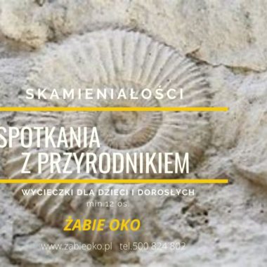 Warsztaty - spotkania z przyrodnikiem