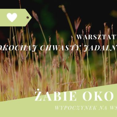 Warsztaty Pokochaj Chwasty Jadalne